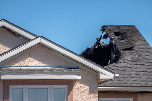 Top rated local Fire Damage Removal specialists in Lumberville, PA